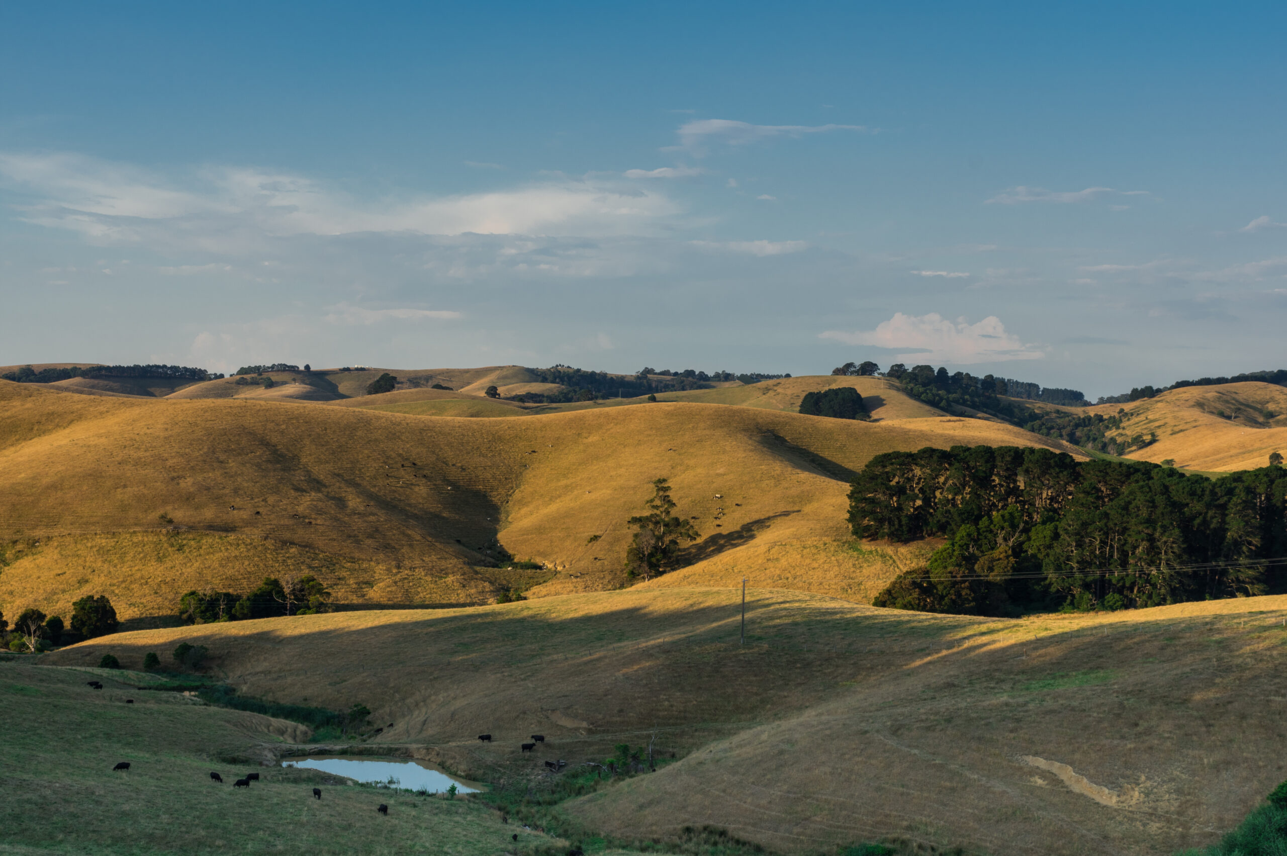 Flood, Stormwater & Waterway Management - Engeny